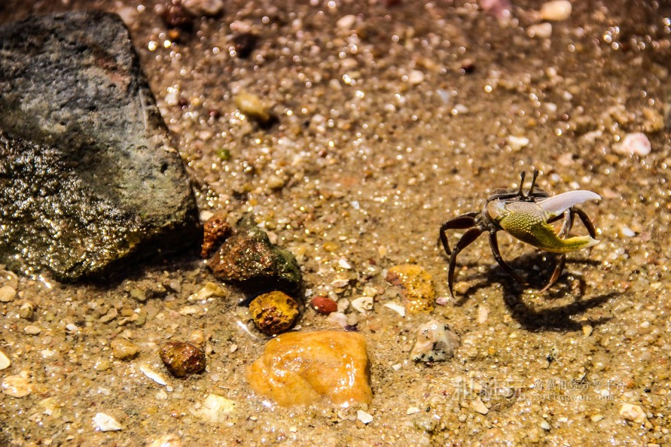 廈門(mén)游艇租賃 廈門(mén)帆船租賃 廈門(mén)游艇租賃 廈門(mén)帆船租賃