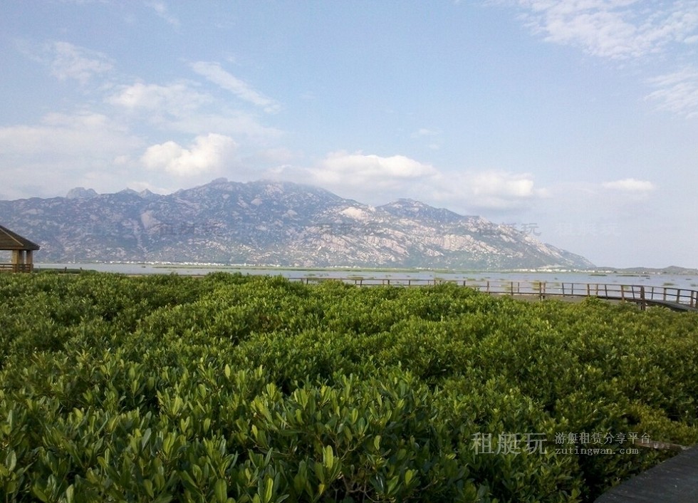 廈門五緣灣帆船港游艇租賃 廈門五緣灣帆船港游艇租賃